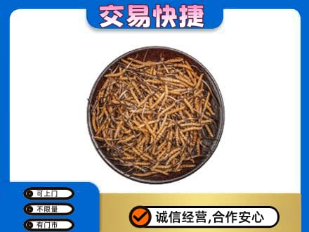 泰州市回收散虫草